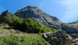 Preview wallpaper rock, stones, bushes, nature, sky, view from below, scenery