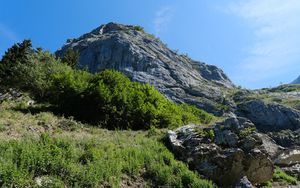 Preview wallpaper rock, stones, bushes, nature, sky, view from below, colorful