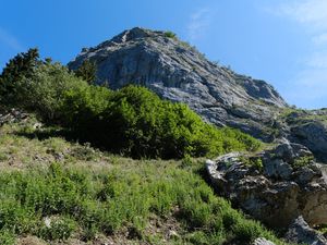 Preview wallpaper rock, stones, bushes, nature, sky, view from below, colorful