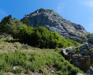 Preview wallpaper rock, stones, bushes, nature, sky, view from below, scenery