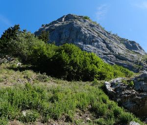 Preview wallpaper rock, stones, bushes, nature, sky, view from below, colorful