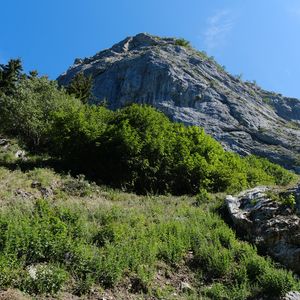 Preview wallpaper rock, stones, bushes, nature, sky, view from below, colorful