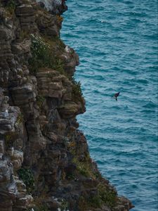 Preview wallpaper rock, stones, cliff, sea, bird