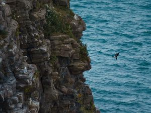 Preview wallpaper rock, stones, cliff, sea, bird