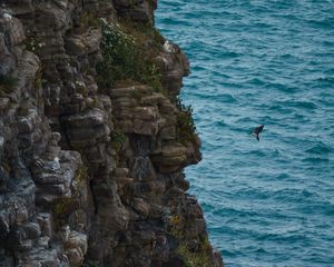 Preview wallpaper rock, stones, cliff, sea, bird