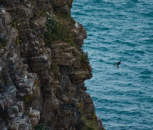 Preview wallpaper rock, stones, cliff, sea, bird