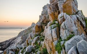 Preview wallpaper rock, stones, grass, sea, nature