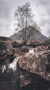 Preview wallpaper rock, stream, tree, mountain