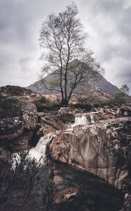 Preview wallpaper rock, stream, tree, mountain