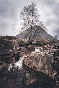 Preview wallpaper rock, stream, tree, mountain