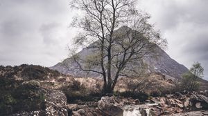 Preview wallpaper rock, stream, tree, mountain