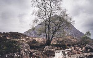 Preview wallpaper rock, stream, tree, mountain