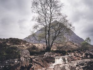Preview wallpaper rock, stream, tree, mountain