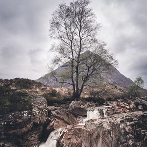 Preview wallpaper rock, stream, tree, mountain