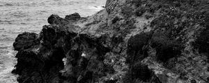 Preview wallpaper rock, surf, waves, bw