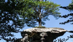 Preview wallpaper rock, tree, landscape, nature, shadows
