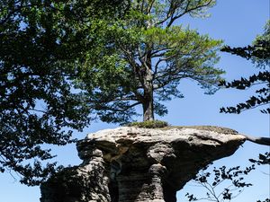 Preview wallpaper rock, tree, landscape, nature, shadows