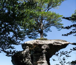 Preview wallpaper rock, tree, landscape, nature, shadows