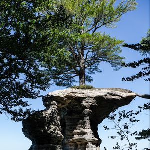 Preview wallpaper rock, tree, landscape, nature, shadows