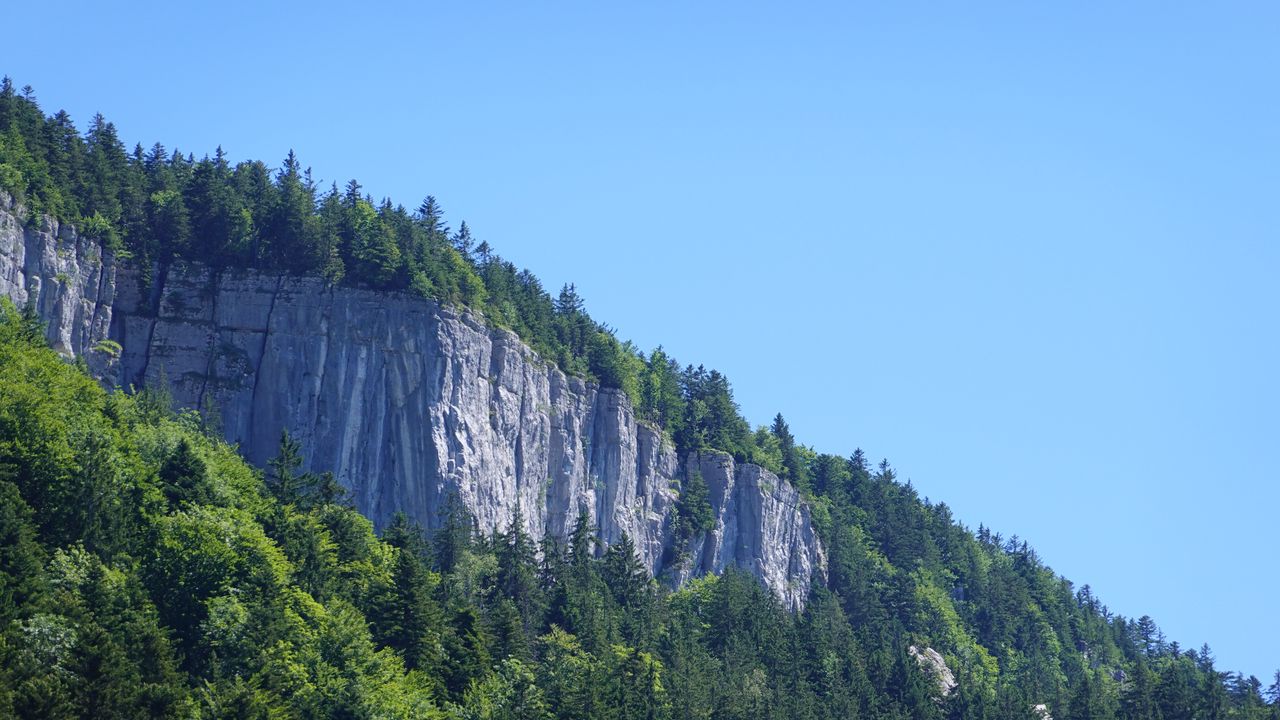 Wallpaper rock, trees, cliff