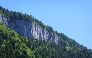 Preview wallpaper rock, trees, cliff