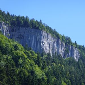 Preview wallpaper rock, trees, cliff