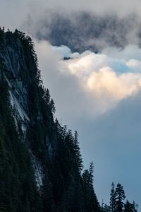 Preview wallpaper rock, trees, clouds, mountain, peak