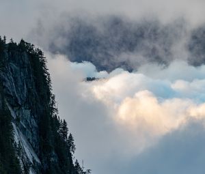 Preview wallpaper rock, trees, clouds, mountain, peak