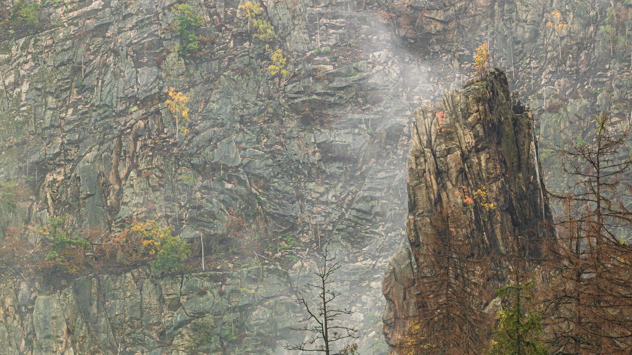 Wallpaper rock, trees, fog, nature