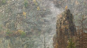 Preview wallpaper rock, trees, fog, nature