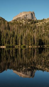 Preview wallpaper rock, trees, forest, reflection, lake