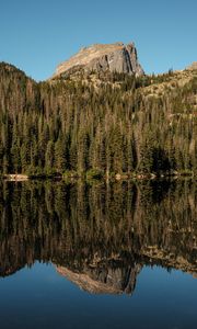 Preview wallpaper rock, trees, forest, reflection, lake