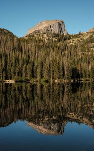 Preview wallpaper rock, trees, forest, reflection, lake