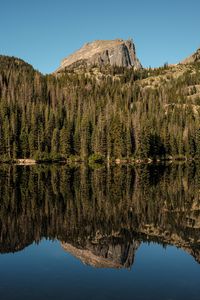 Preview wallpaper rock, trees, forest, reflection, lake