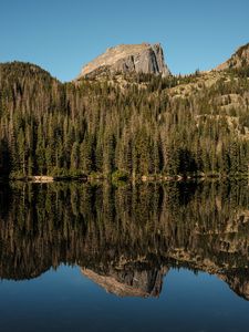 Preview wallpaper rock, trees, forest, reflection, lake