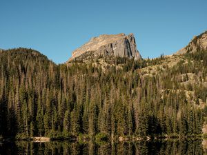 Preview wallpaper rock, trees, forest, reflection, lake