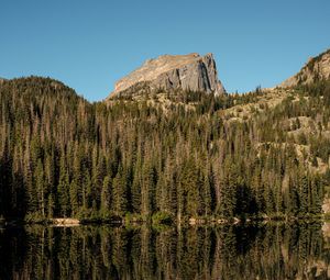 Preview wallpaper rock, trees, forest, reflection, lake