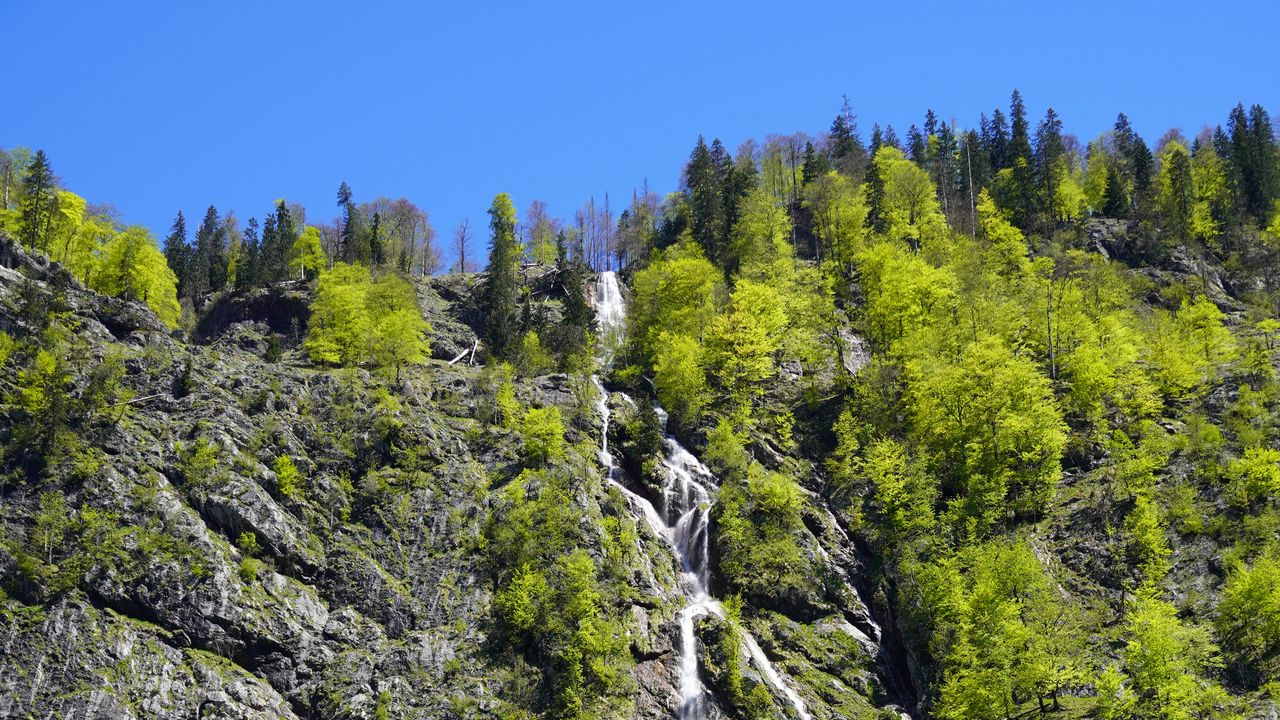 Wallpaper rock, trees, landscape, nature