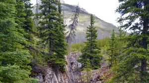 Preview wallpaper rock, trees, nature, landscape