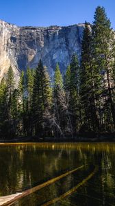 Preview wallpaper rock, trees, nature