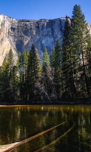 Preview wallpaper rock, trees, nature