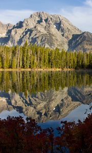 Preview wallpaper rock, trees, reflection, lake, nature