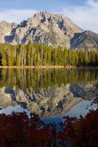 Preview wallpaper rock, trees, reflection, lake, nature