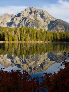 Preview wallpaper rock, trees, reflection, lake, nature
