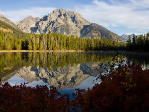 Preview wallpaper rock, trees, reflection, lake, nature