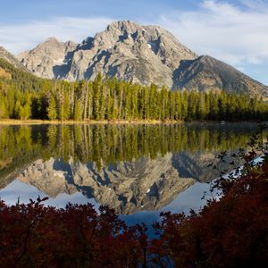 Preview wallpaper rock, trees, reflection, lake, nature