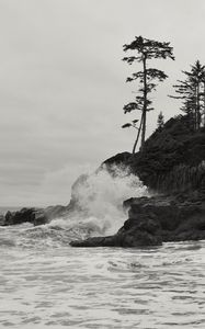 Preview wallpaper rock, trees, sea, spray, black and white