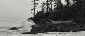 Preview wallpaper rock, trees, sea, spray, black and white