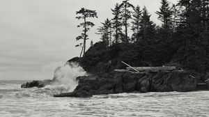 Preview wallpaper rock, trees, sea, spray, black and white