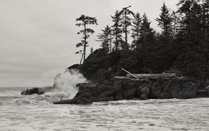 Preview wallpaper rock, trees, sea, spray, black and white